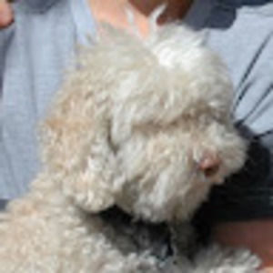 Meet your Posher, Jake